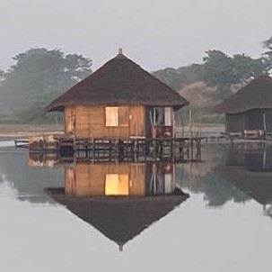 WhatsApp Image 2024-11-18 à 16.53.56_e16aeab7 2 Lodge lagune