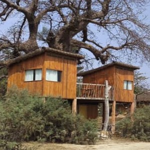WhatsApp Image 2026-06-09 at 10.59.28 (1)1 Lodge baobab panorama